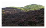 Dunsinane Hill