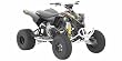Can-Am DS 450 X