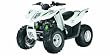 Arctic Cat DVX 90 SE