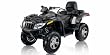 Arctic Cat 1000 EFI H2 4x4 Auto TRV