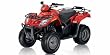 Arctic Cat 300 2x4 Auto