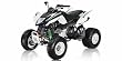 Arctic Cat DVX 300