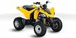 Can-Am DS 250
