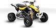 Can-Am DS 450 X mx