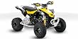 Can-Am DS 450 X xc