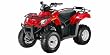Arctic Cat 300