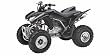 Honda TRX250X