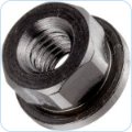 Flange Nuts