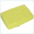 Sponges