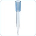 Pipette Tips