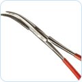 Dissecting Equipment