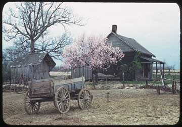 The Day in Its Color