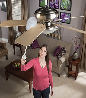 fan