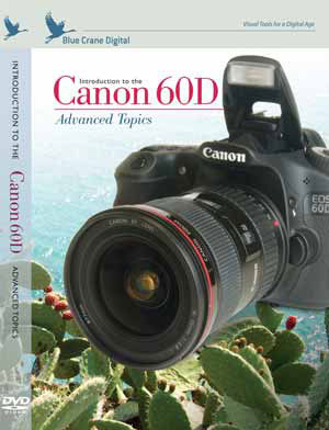 Canon 60D Avanced Topics