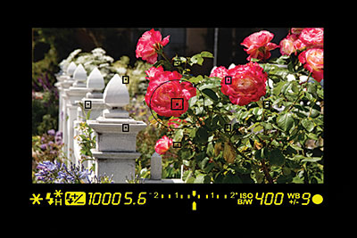 zBC119 image 1