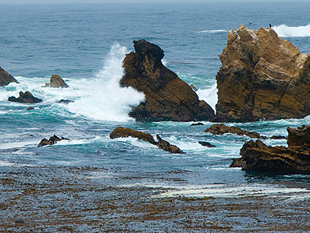 zBC121 image 2