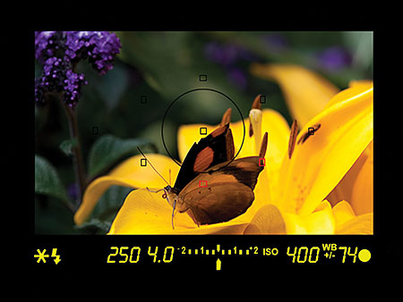 zBC124 image 1