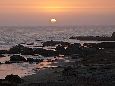 zBC124 image 2