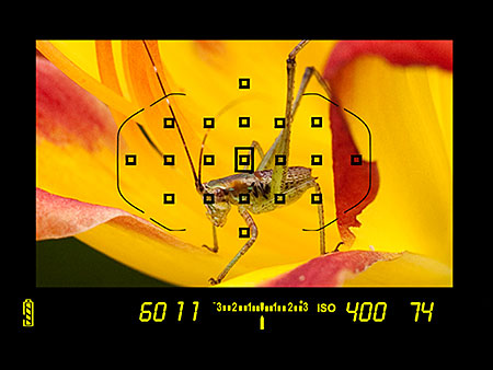 zBC129 image 1