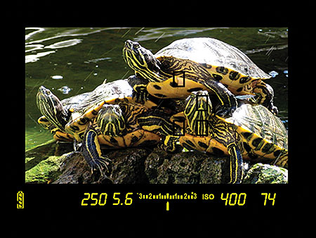 zBC130 image 1