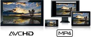 Canon VIXIA HF R30 at Amazon.com