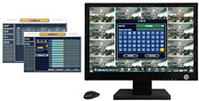 Easy to Use Mouse Driven Interface