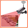Secure and interference-free!