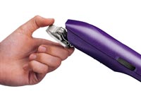 Detachable Blade