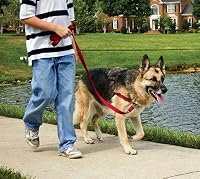 Premier Easy Walk Harness