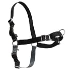 Premier Easy Walk Harness