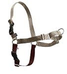 Premier Easy Walk Harness