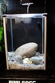 Fluval Spec Aquarium