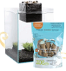 Pets Holiday Gift Guide