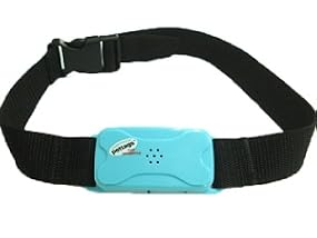 Pettag Pro Collar