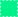 Neon Green