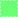 Neon Green