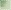 Green/Brown Grey Gradient