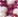 Festival Fuchsia/White