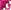 Festival Fuchsia/Silver