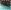 Turquoise Mix/Natural Brown
