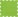 Painted Lime