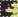 Senape/Birch