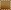 Light Tortoise Shell