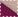 Fuchsia Combo