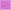Neon Orchid