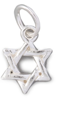 Helen Ficalora Star Of David Charm