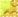 Neon Leopard Yellow
