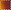 Tortoiseshell/Dark Green