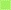 Toucan Green