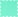 Mint Shiny